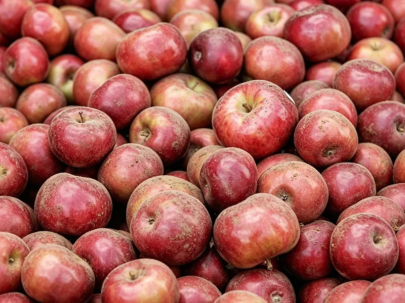 Apple before washing