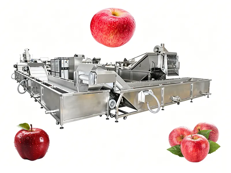 Apple washing line for fruit processing plant