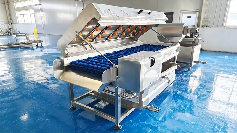 Brush Washing Machine