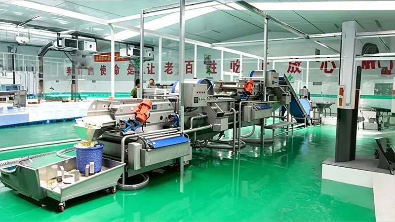 Industrial bubble washing machine