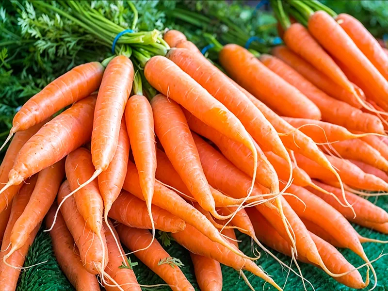 Clean carrot after washing