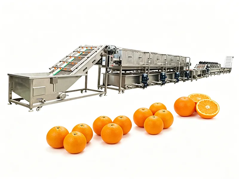 Citrus washing plant for export factory