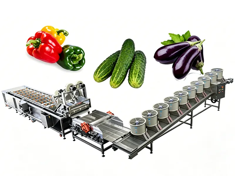 Cucumber washing line for fresh produce distribution