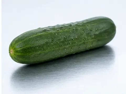 Cucumber