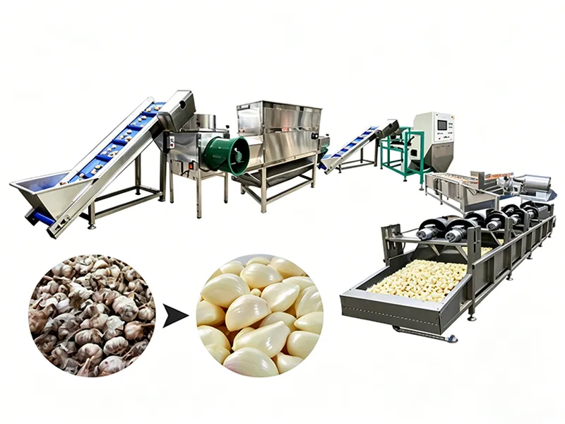 Garlic washing line for peeling factory