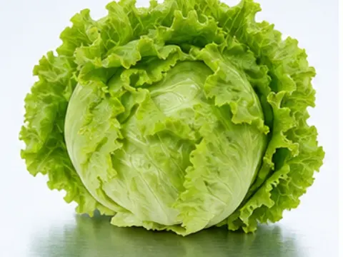 Lettuce