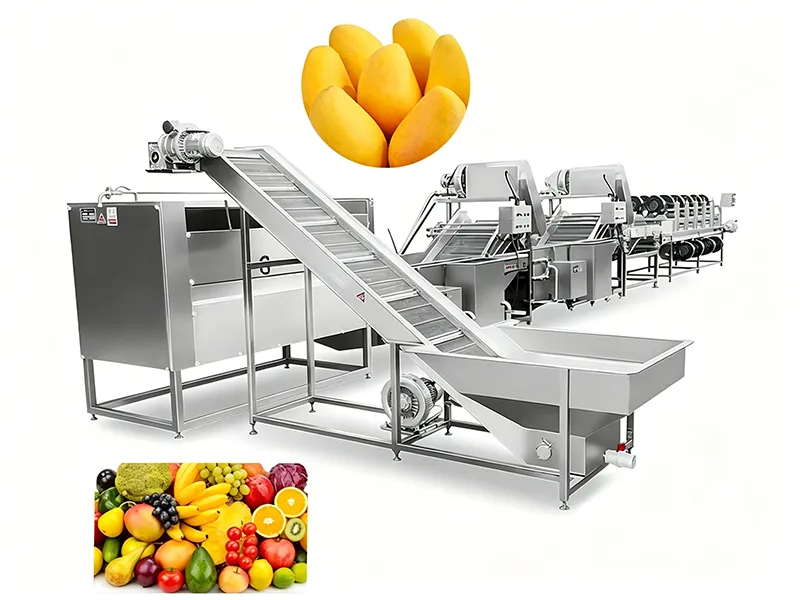 Mango washing line for fruit export workshop