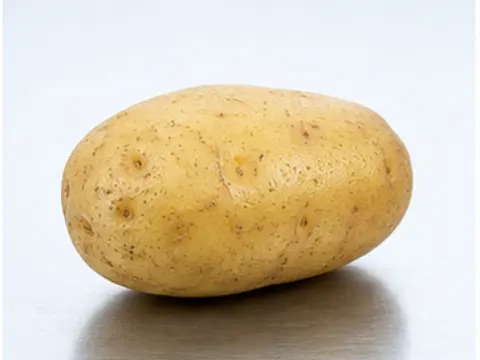Potato
