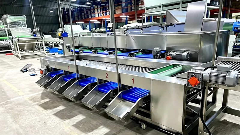 Sorting Machine