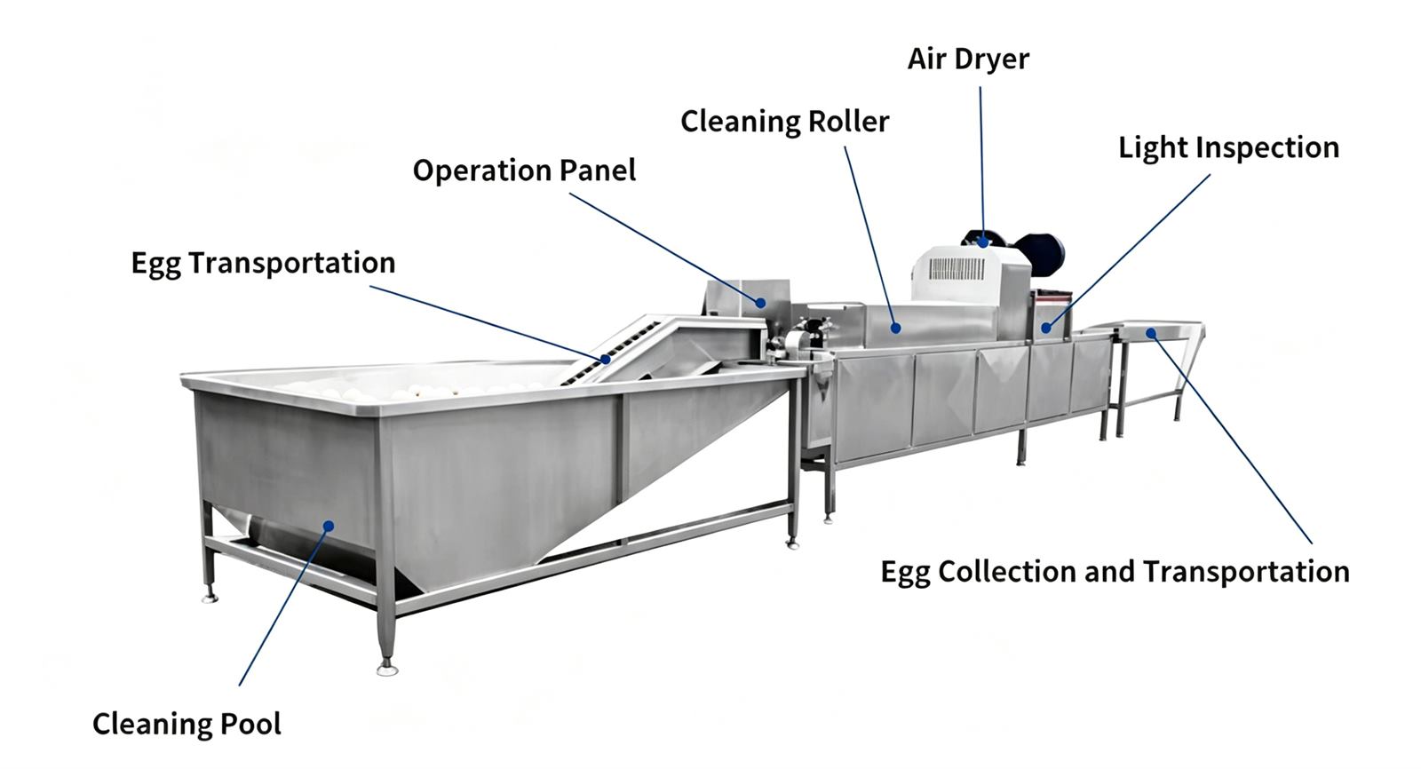 Complete egg washing, drying and inspection processing line