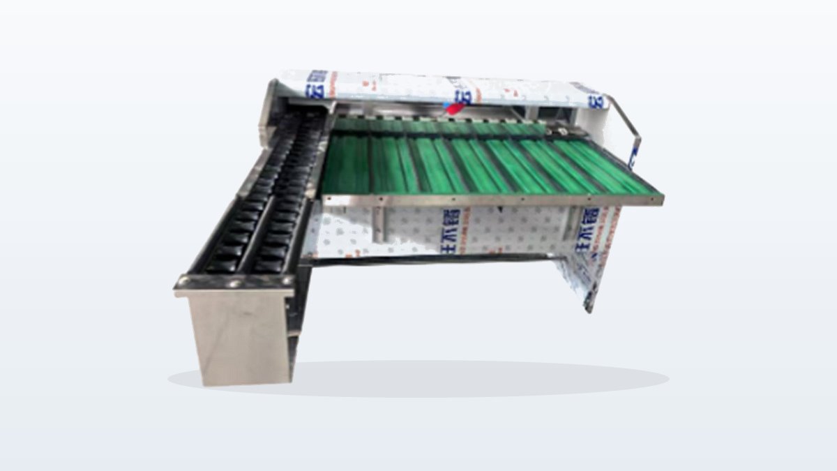FL-7 upgraded egg grader