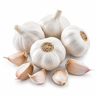 Dry Garlic