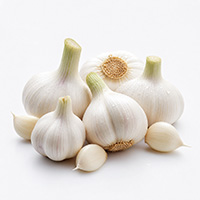 Fresh Garlic