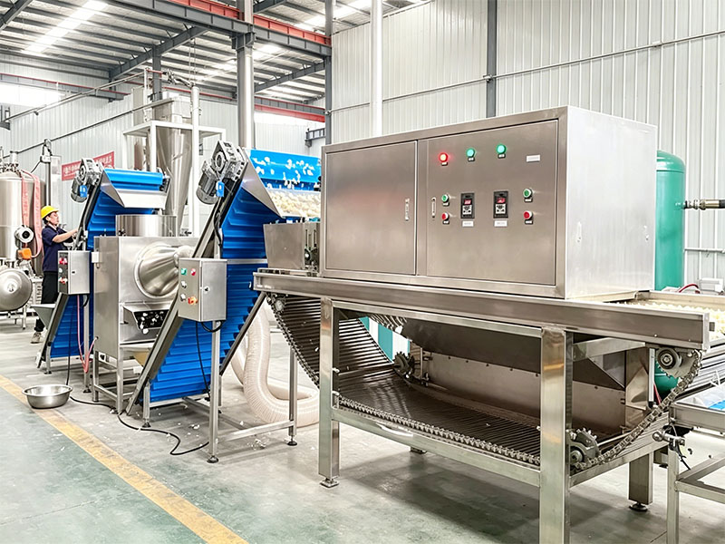 Garlic peeling line in production