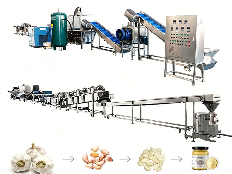 Garlic powder production line