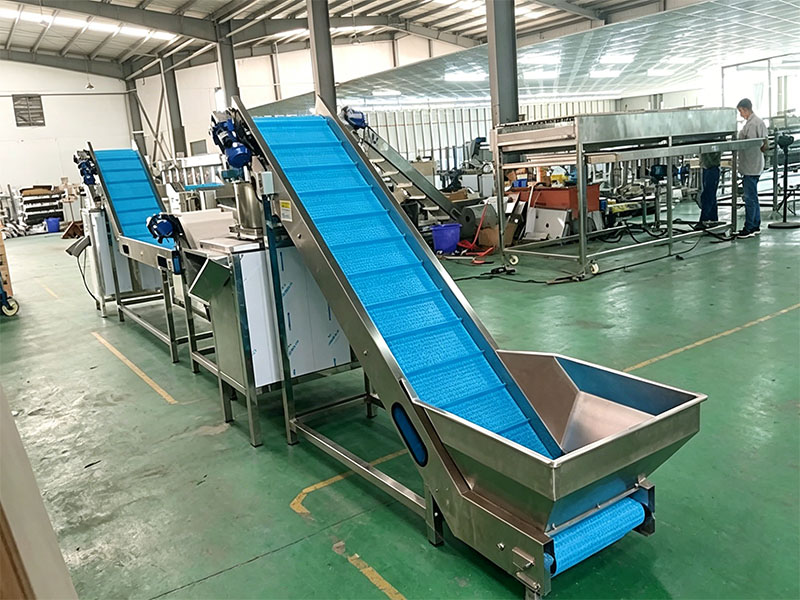 Complete garlic processing factory