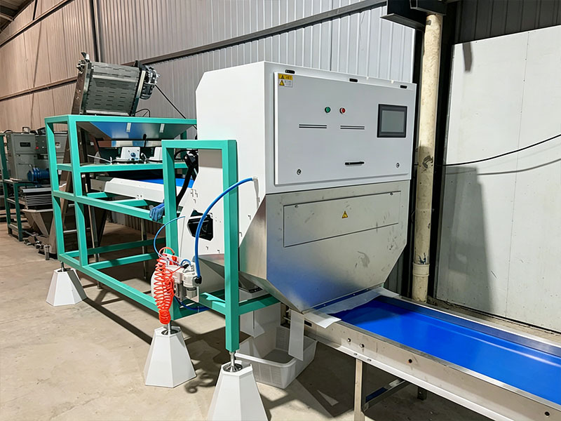 Garlic sorting machine