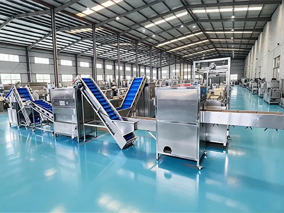 Dehydrated onion production line