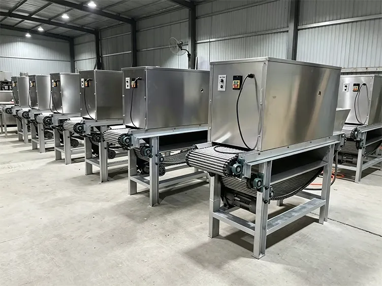 Onion machine manufacturing