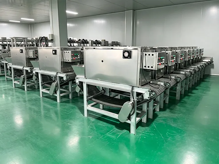 Onion packing area