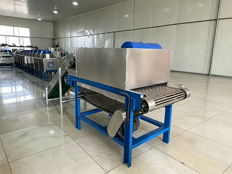 Onion peeling line in production