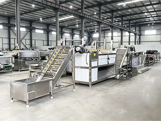 Onion powder production line