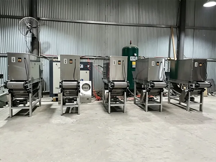 Complete onion processing factory