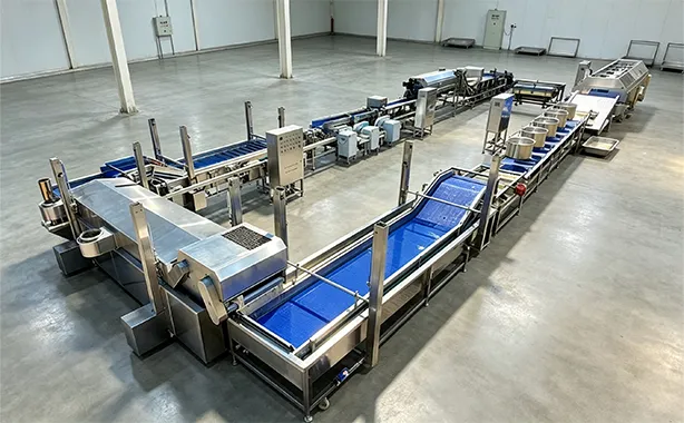 Complete Onion Peeling Line Layout