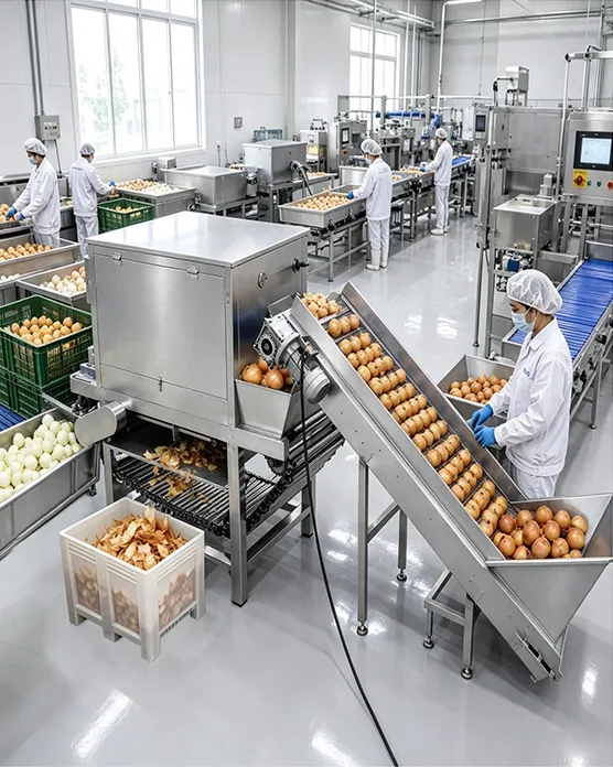 Onion Processing Plant