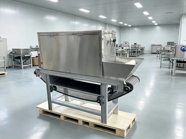 Onion sorting section