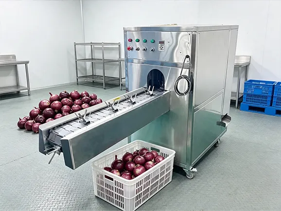 Onion sorting machine