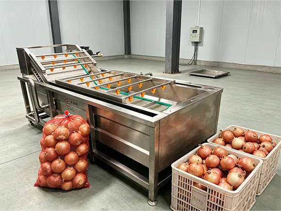 Onion washing machine