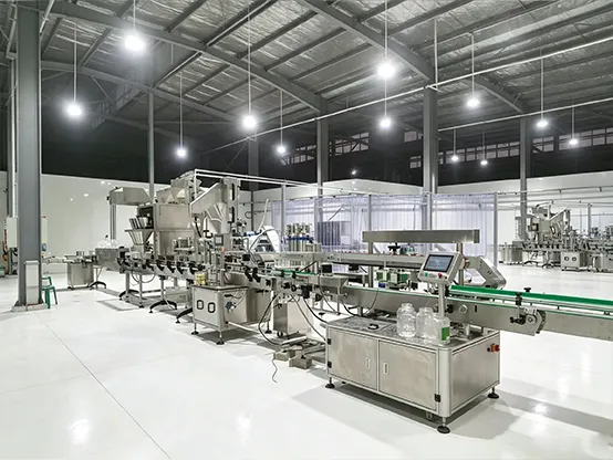 Fresh peeled onion processing line