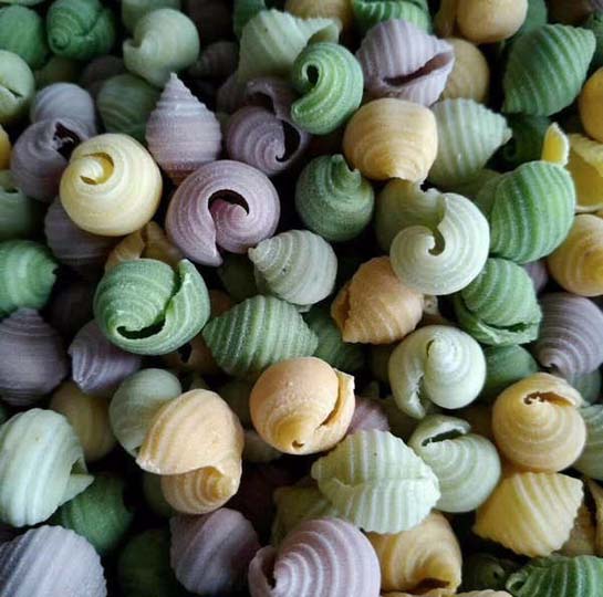 made by the pasta roller