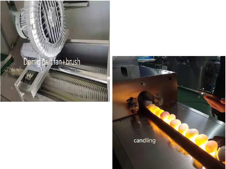 Air-dry and light inspection