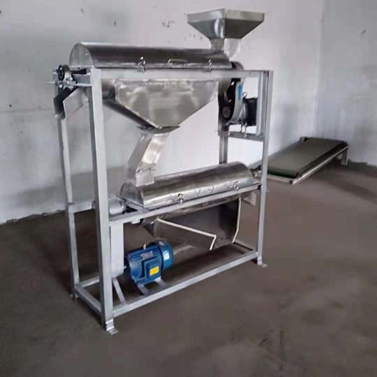 Double pass fruit pulper