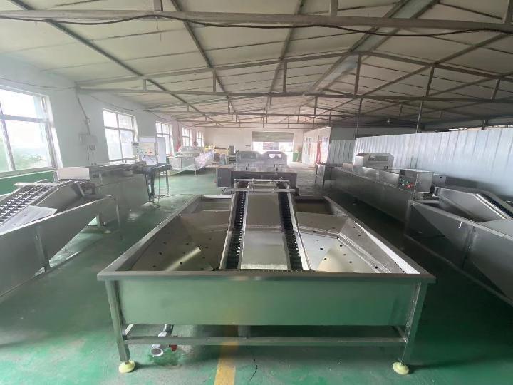 Double row egg washing machine