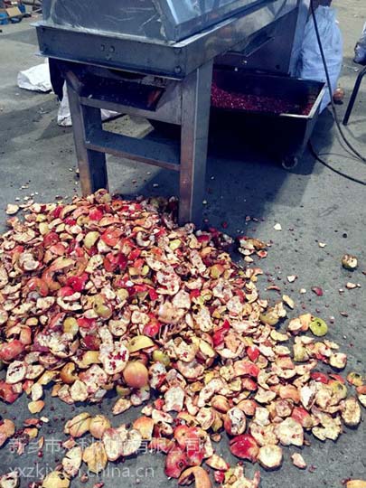 Pomegranate processing