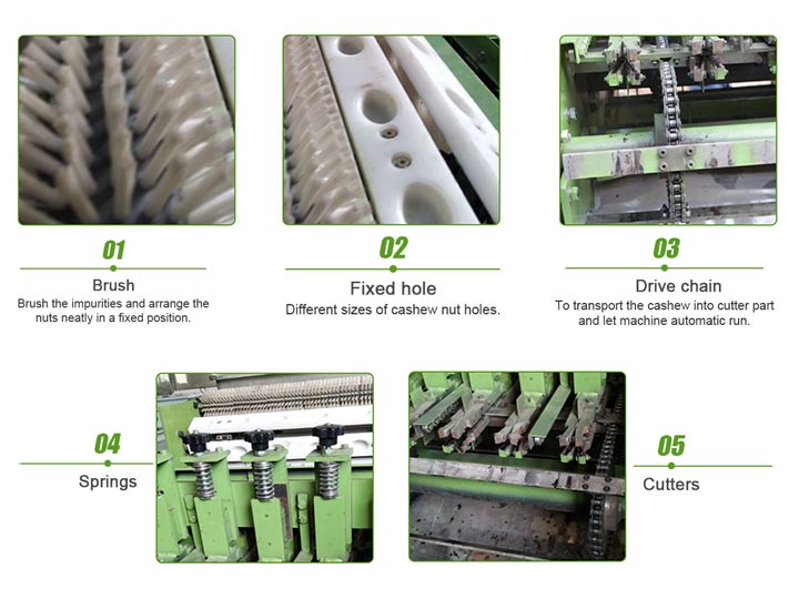 Structure of the nut shelling machine
