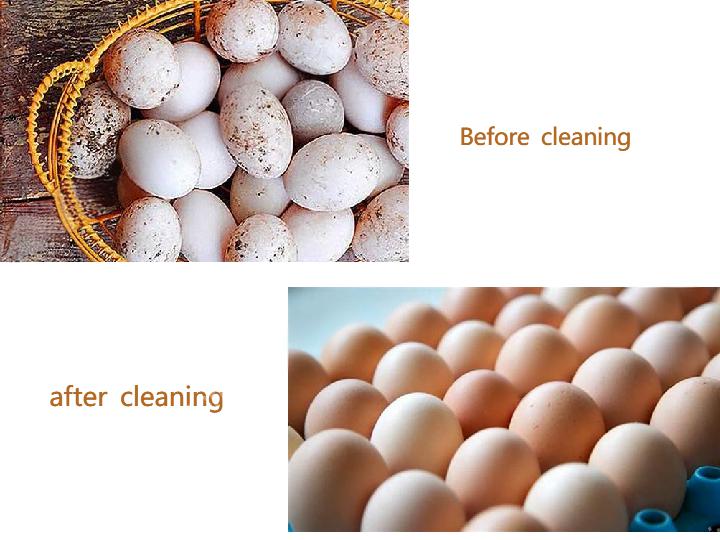 The benefits of cleaning eggs