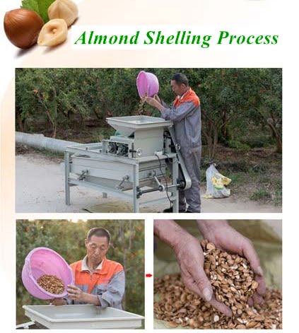 almond sheller