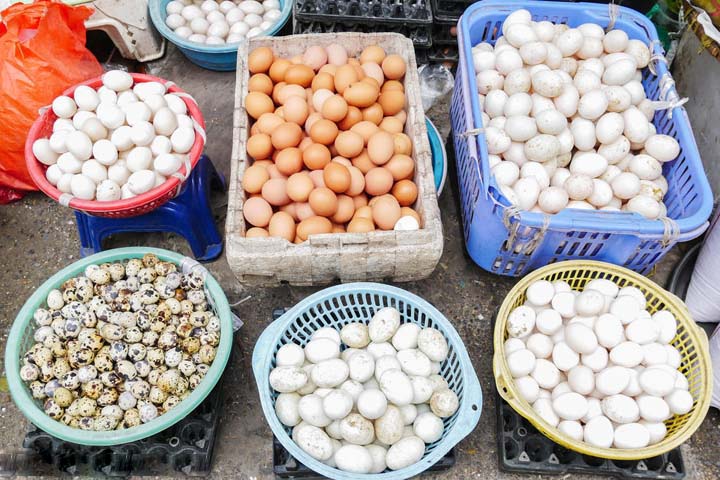 bulk eggs for sorting