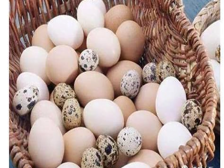 different types of eggs