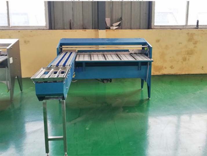 egg grading equipment in stock