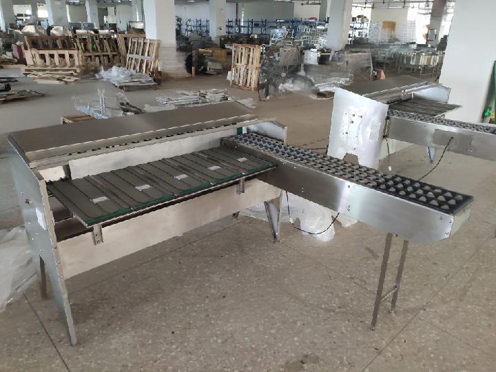 egg grading machine