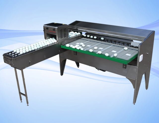 egg sorting machine structure
