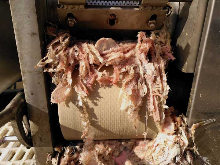 fish bones and skins of the fish deboning process