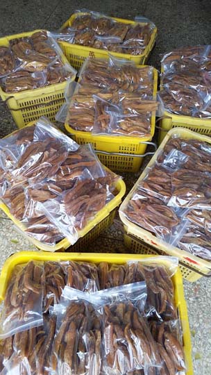 food with vacuum sealers