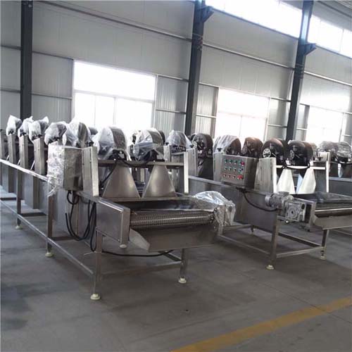 fruit dryer machine