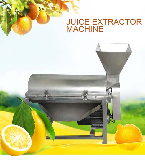 fruit pulping machine